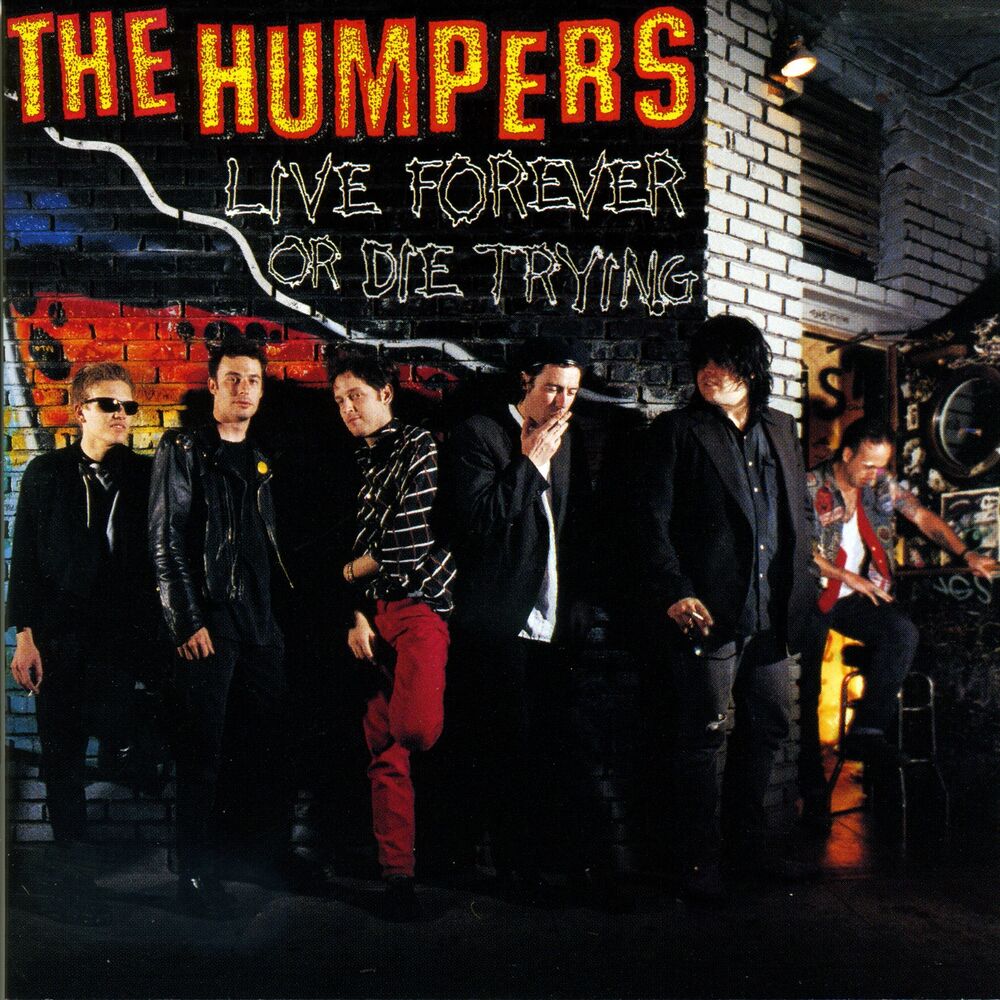 Picture of Live Forever Or Die Trying