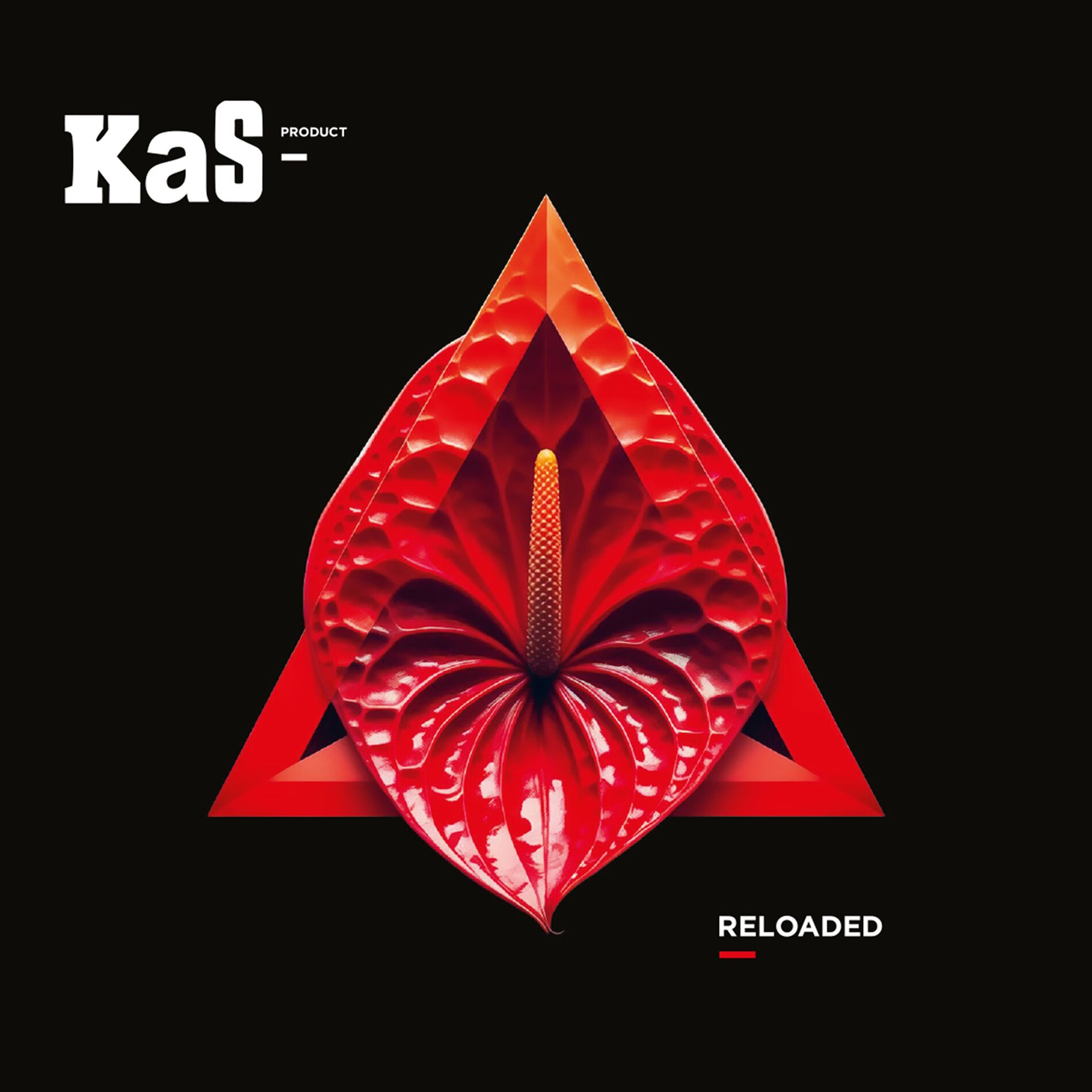 Album cover of Last Chance
