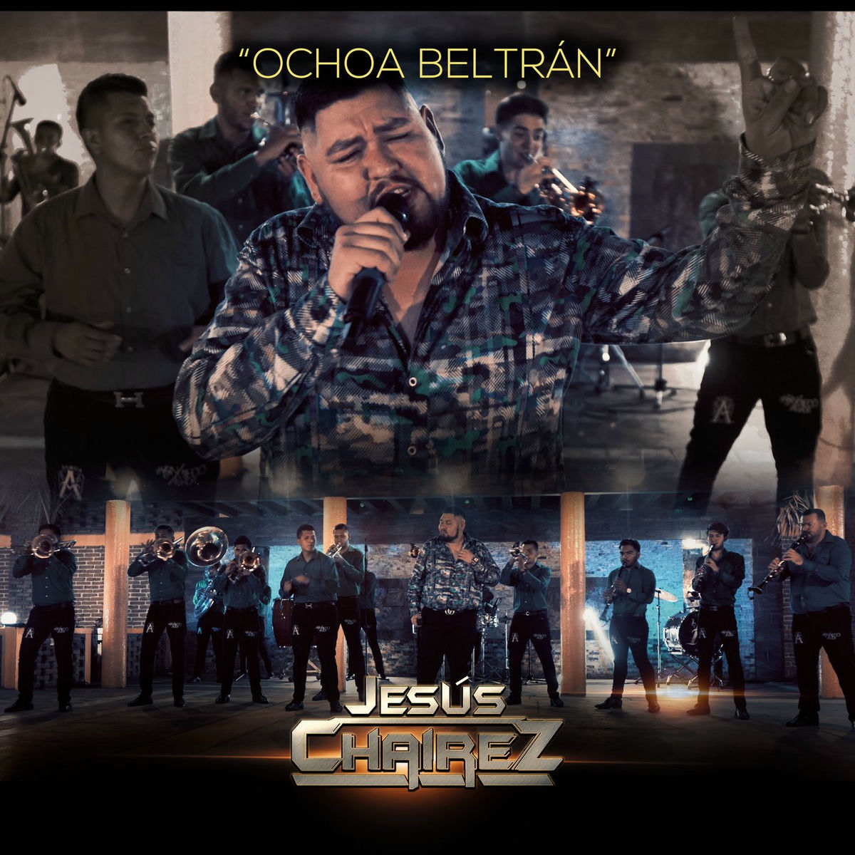Album cover of Ochoa Beltrán