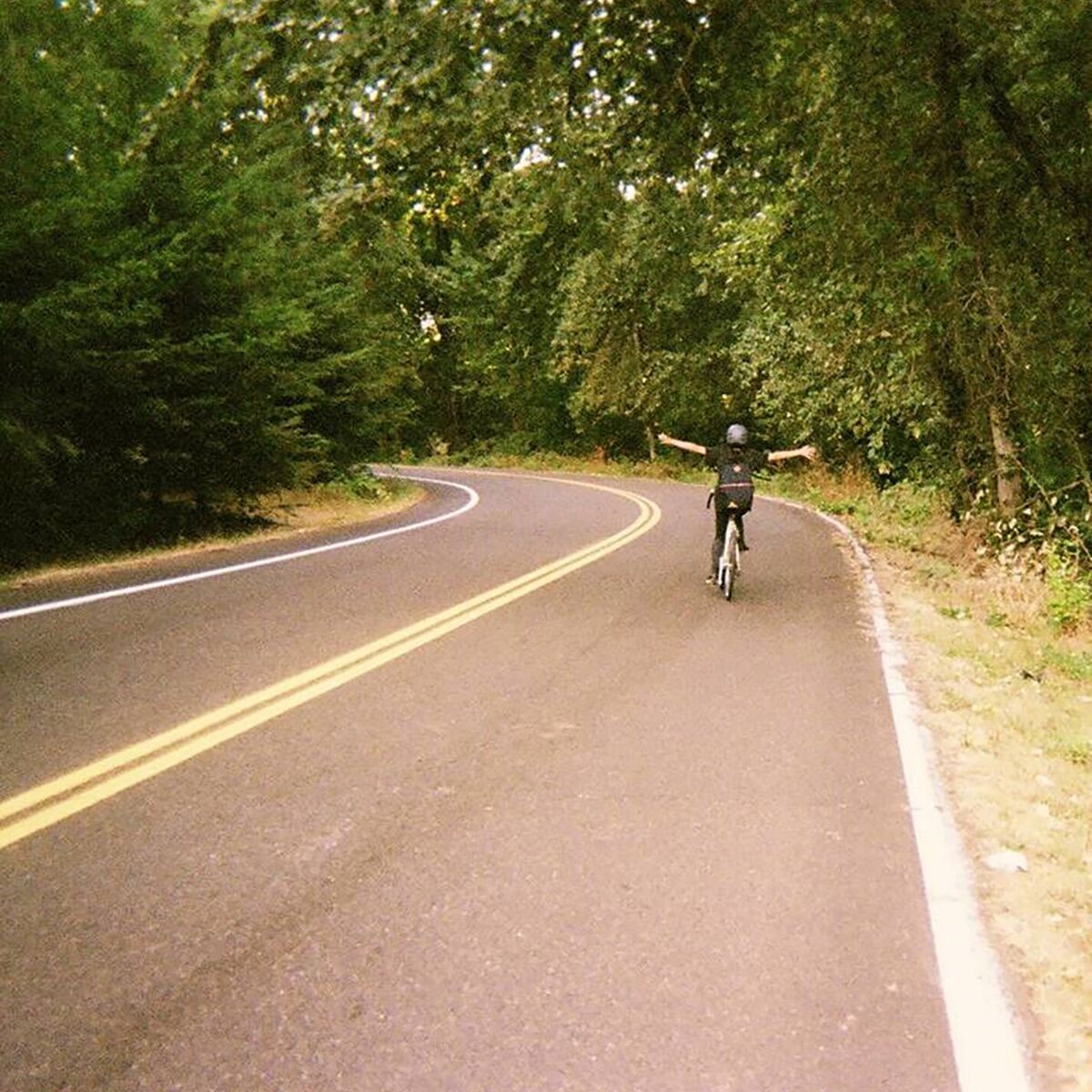 Album cover of Transcendless Summer