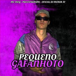 Cover of Pequeno Gafanhoto