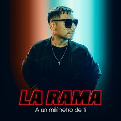 Cover of A un Milimetro de Ti
