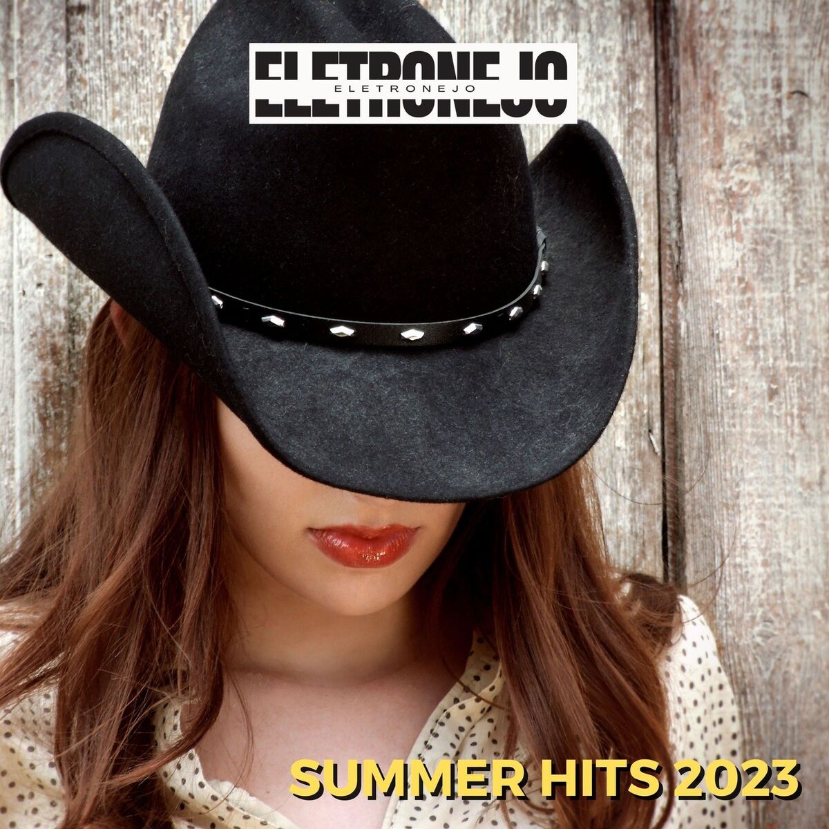 Album cover of Summer Hits 2023