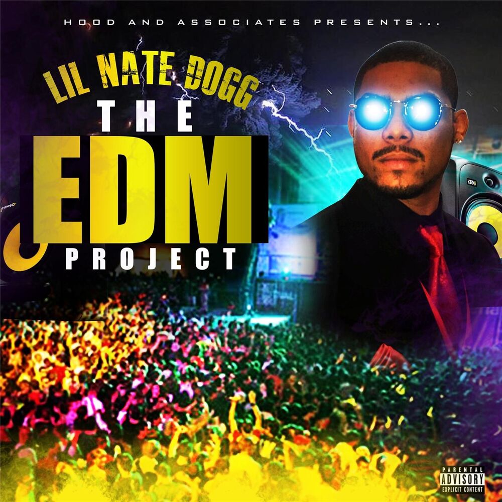 Picture of The EDM Project