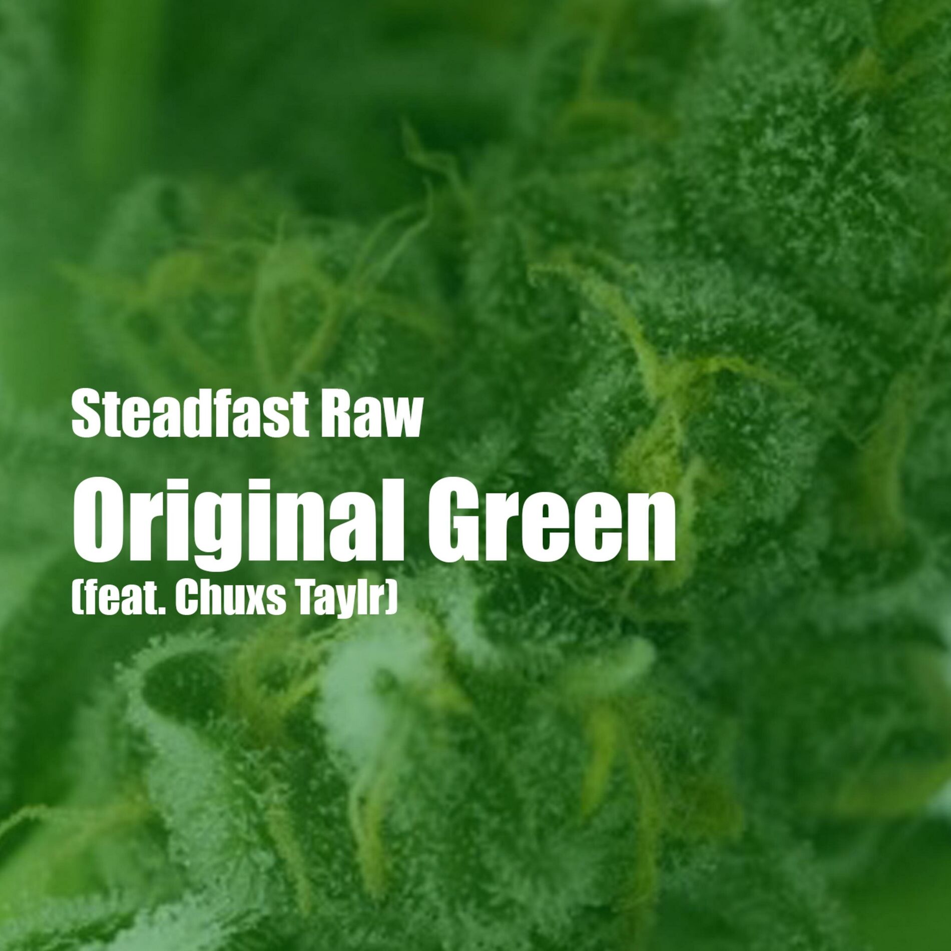 Album cover of Original Green (feat. Chuxs Taylr)