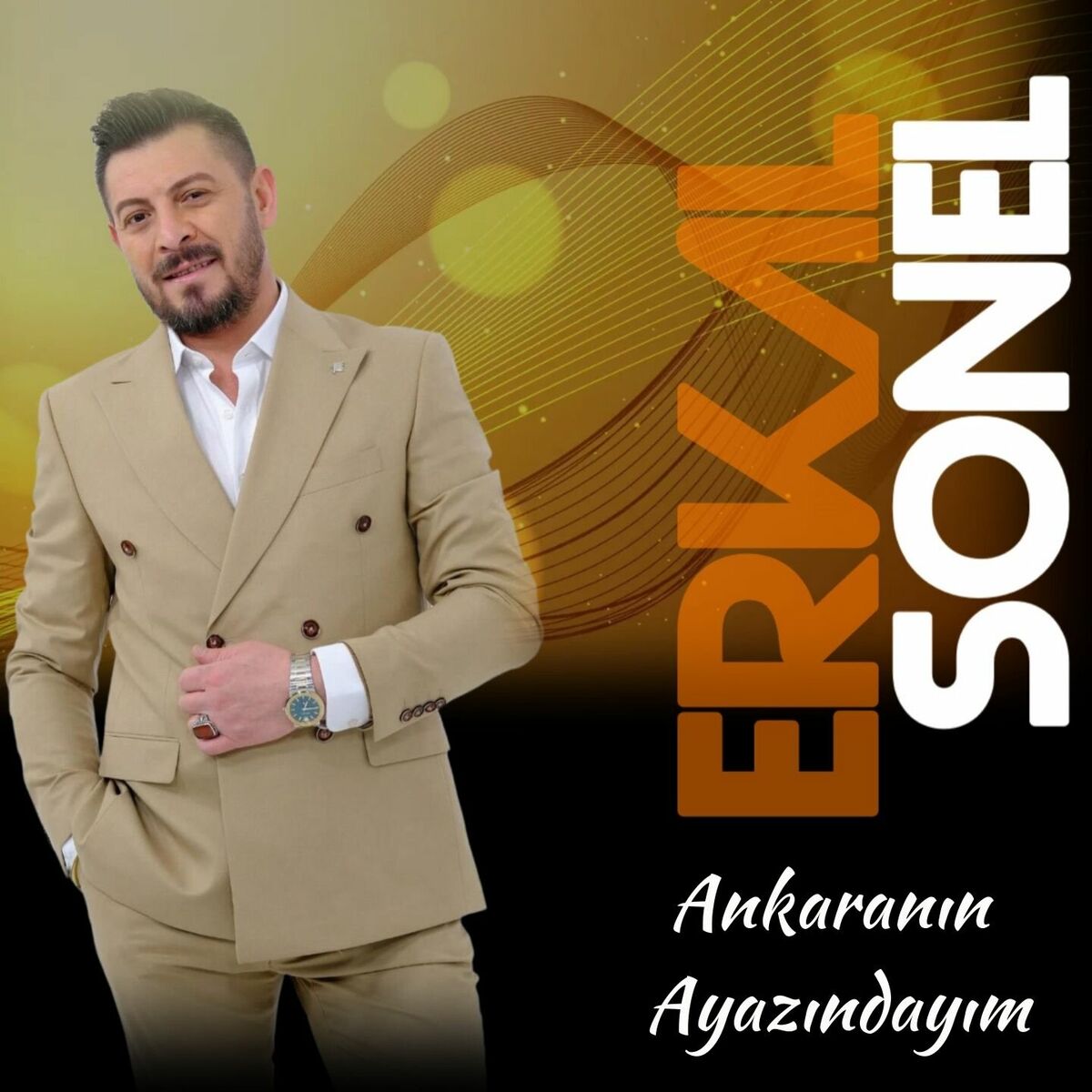 Album cover of Ankaranın Ayazındayım