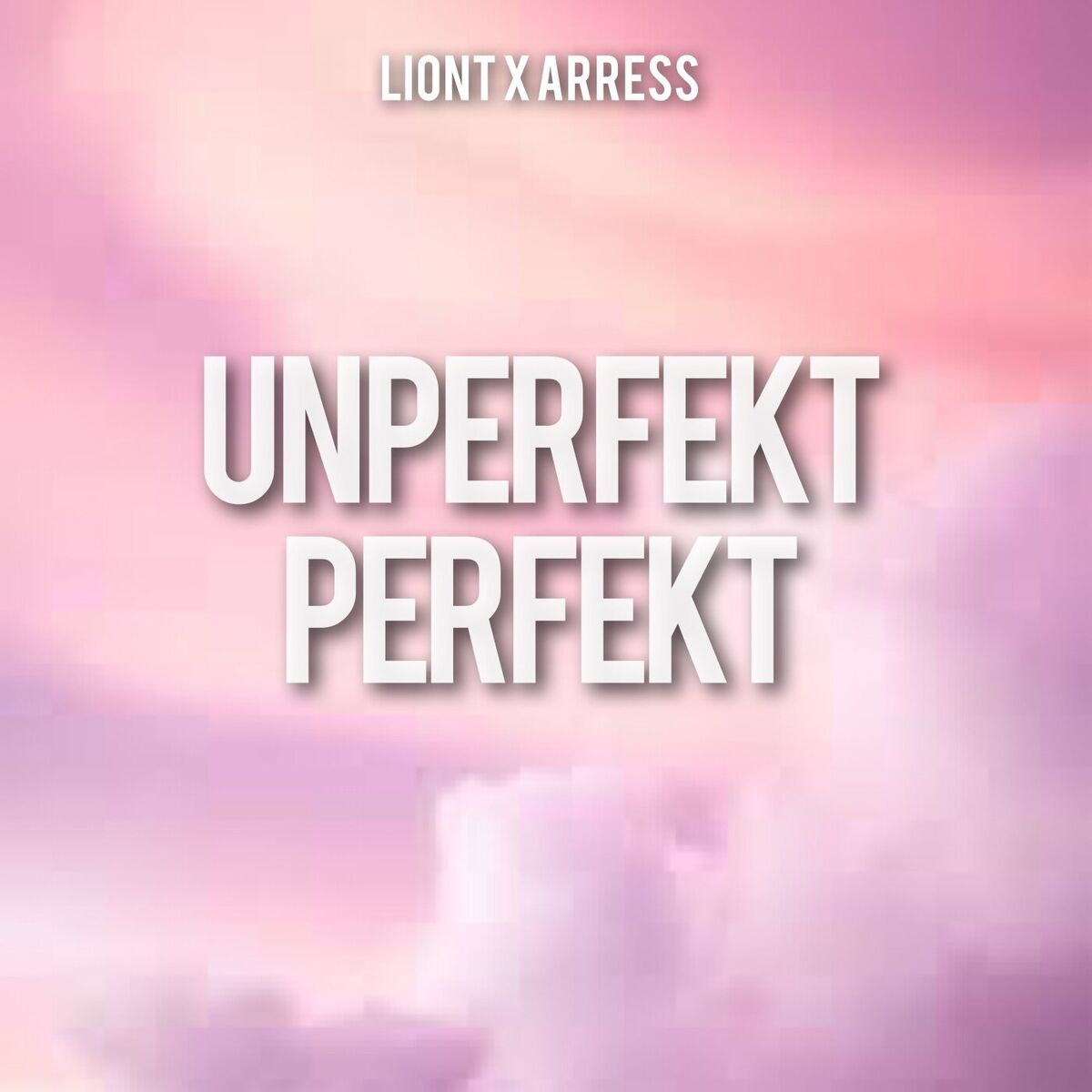 Album cover of Unperfekt perfekt