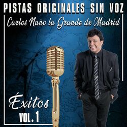 Cover of Pistas Originales Sin Voz (Éxitos Vol. 1)