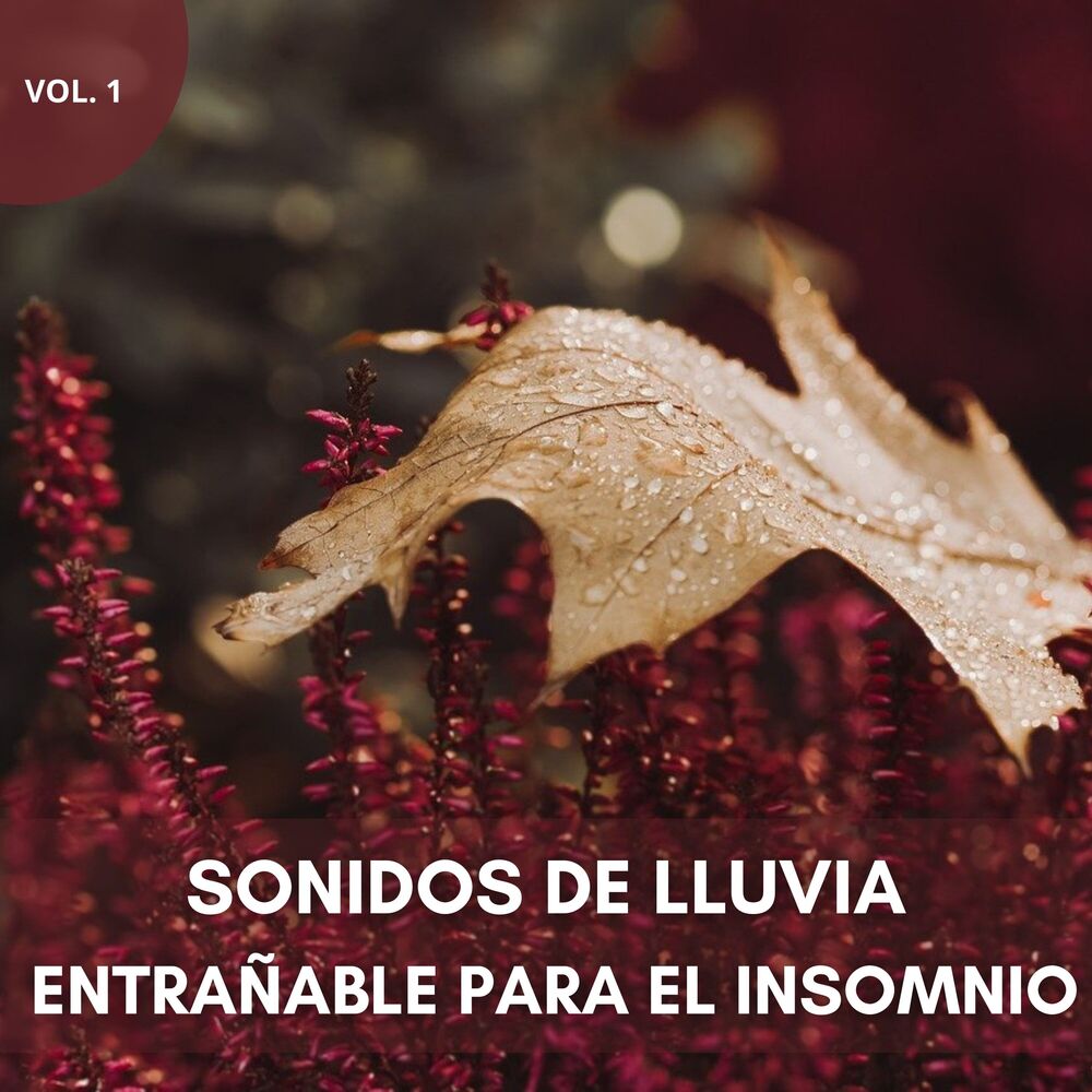 Picture of Sonidos De Lluvia Entrañable Para El Insomnio Vol. 1