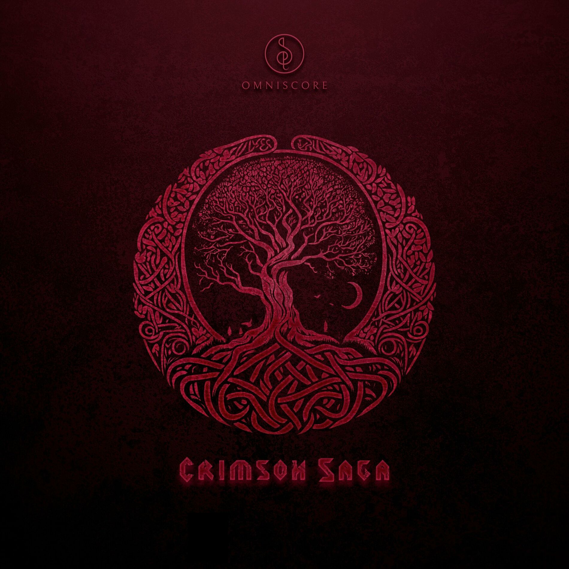 Album cover of Raid for Glory (Acoustic Version)
