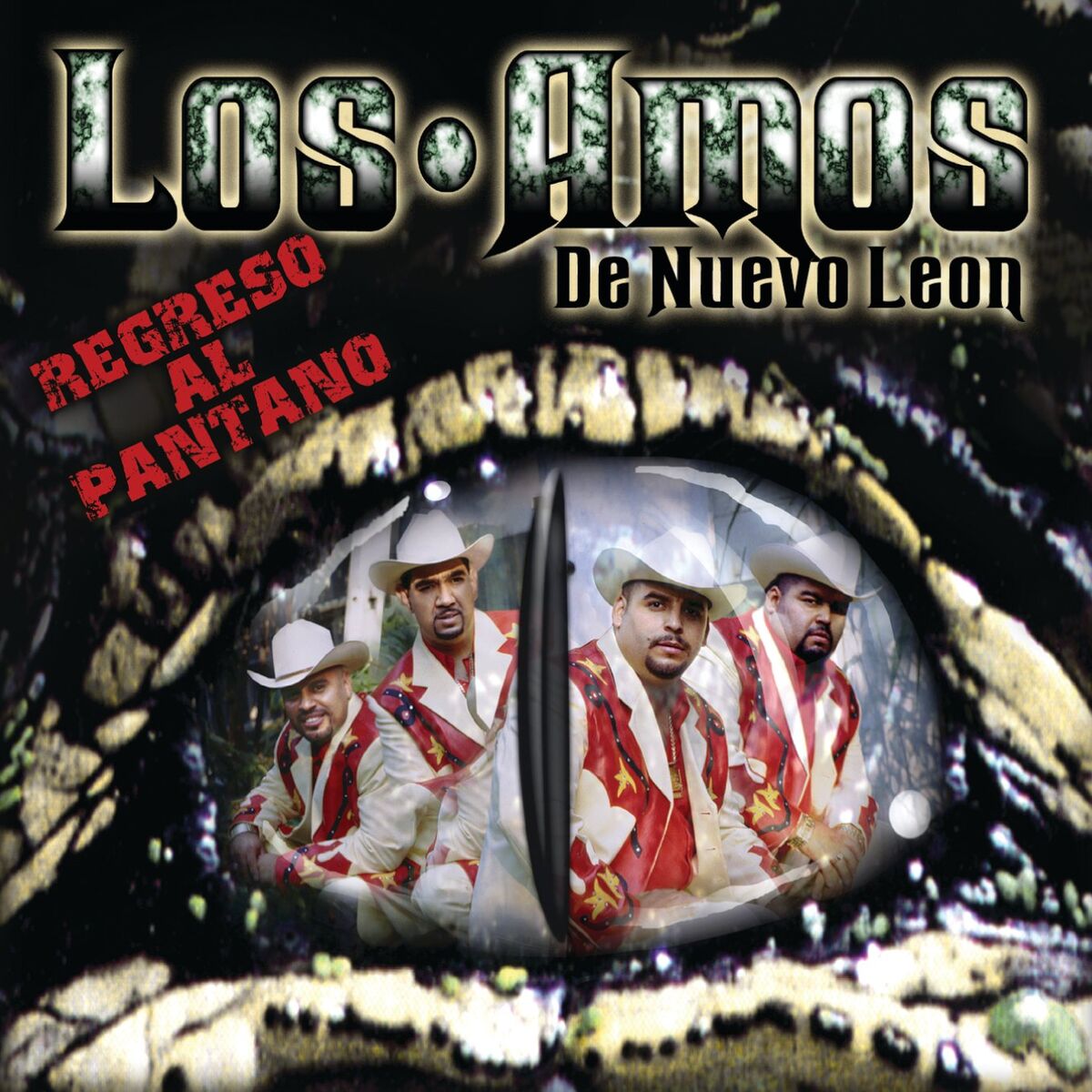 Album cover of Regreso Al Pantano