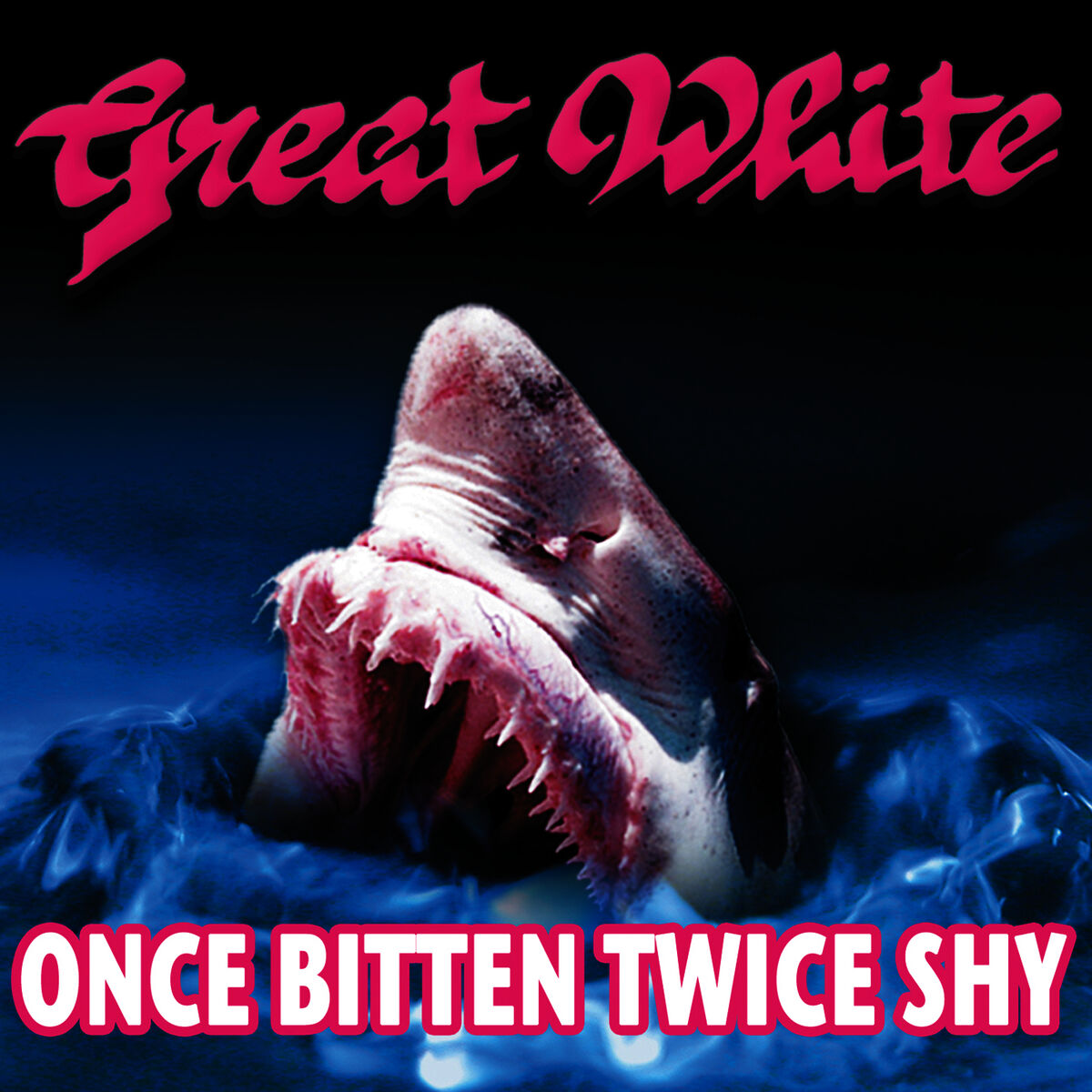 Album picture of Once Bitten, Twice Shy