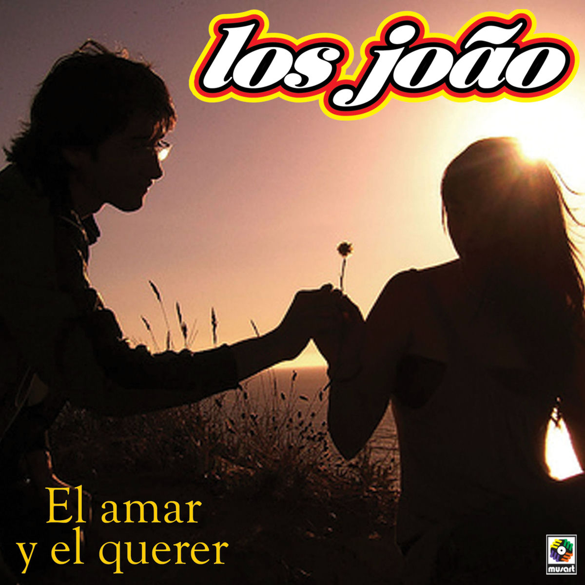 Album cover of El Amar Y El Querer
