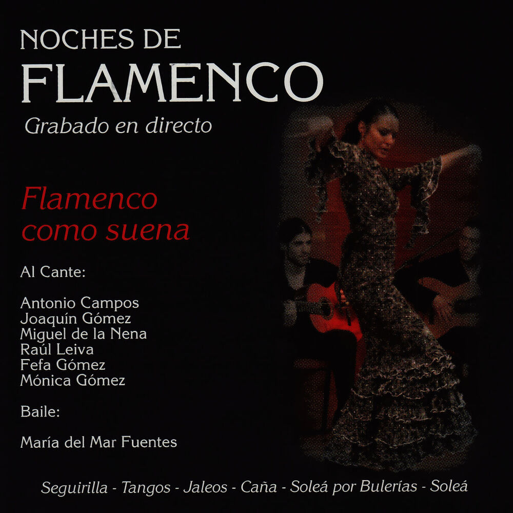Picture of Noches de Flamenco - Flamenco Com Suena
