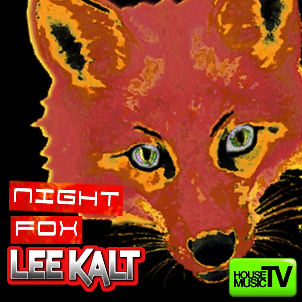 Picture of Nightfox