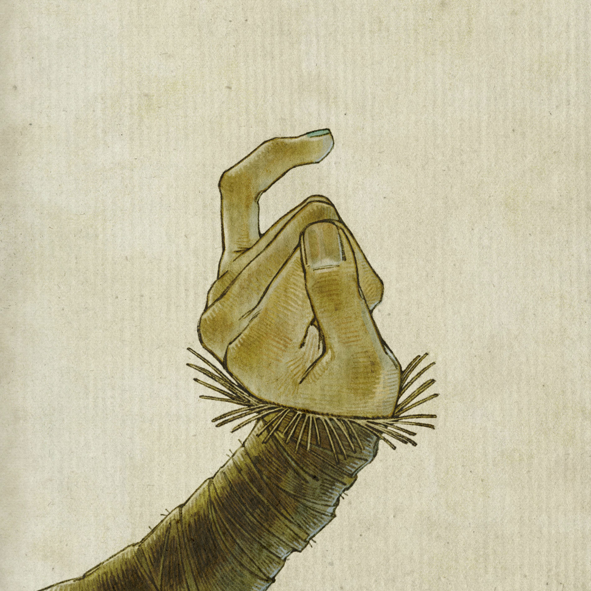 Album cover of Cole's Response