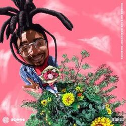 Cover of Blossom