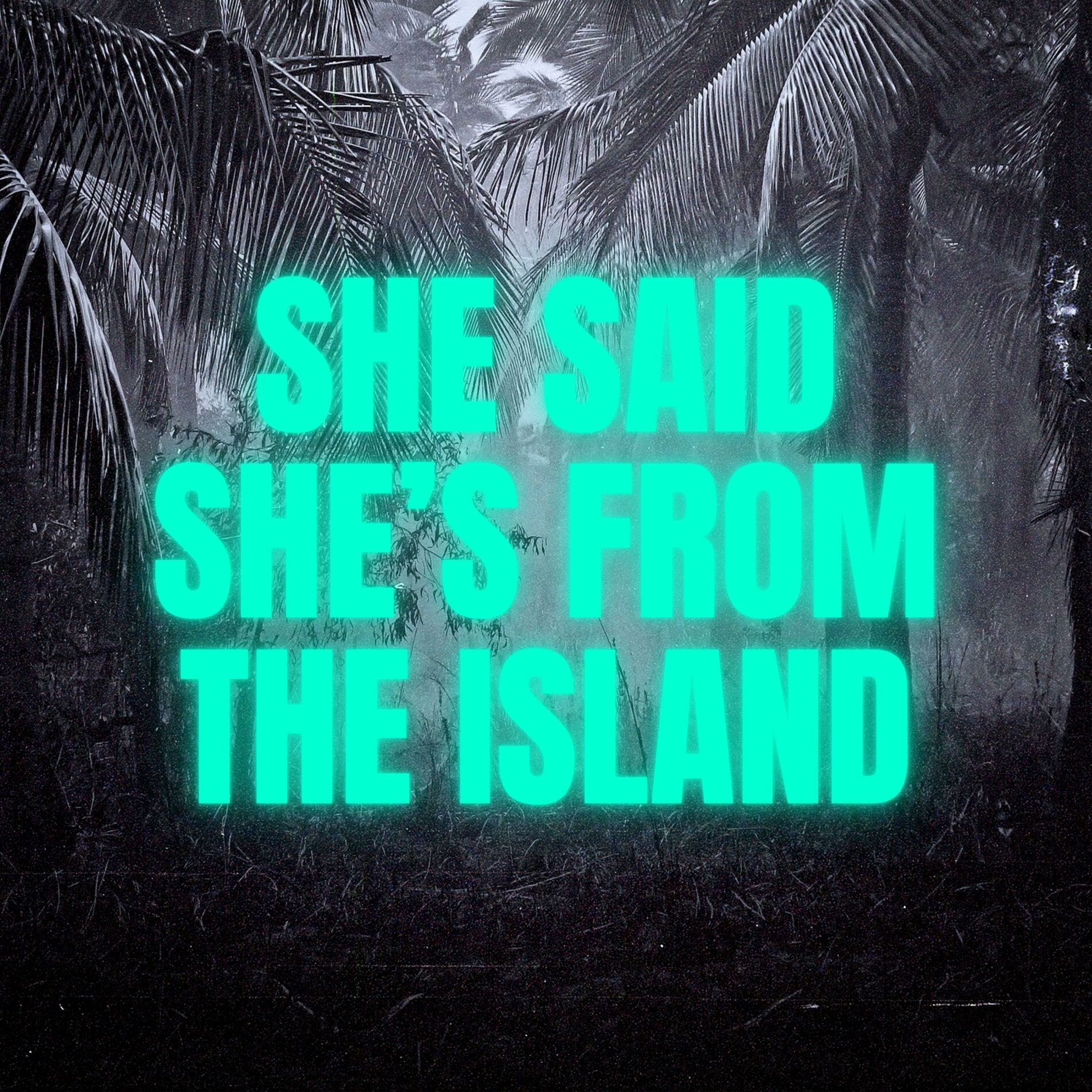 Album cover of She Said She's from the Islands (Kompa)