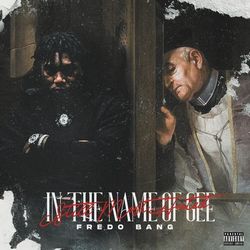 Cover of In The Name Of Gee (Still Most Hated)