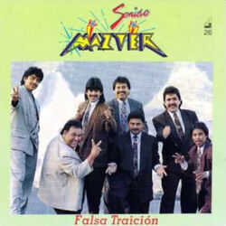 Cover of Falsa Traicion