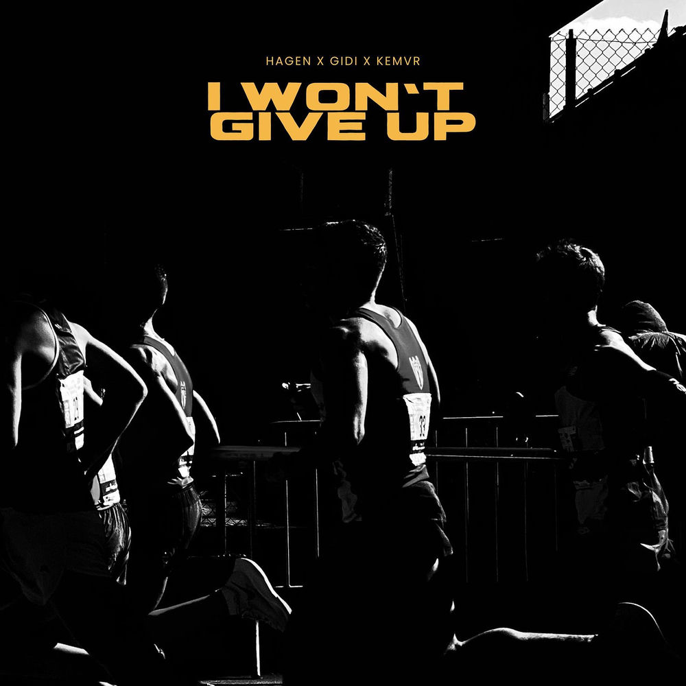 I Won't Give Up