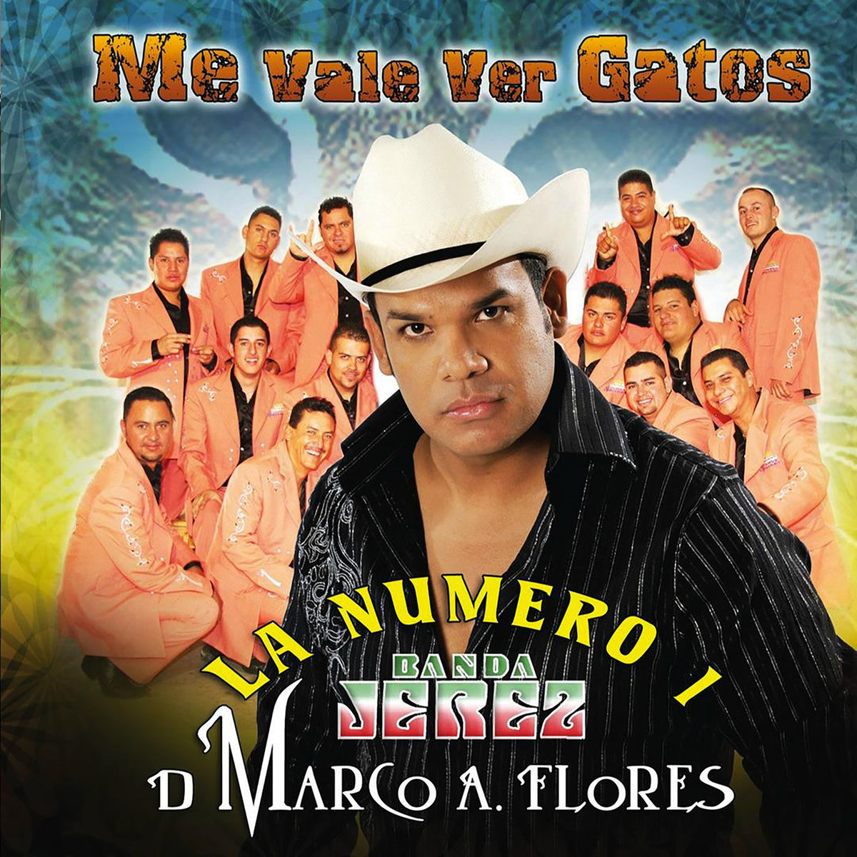 Album cover of Me Vale Ver Gatos
