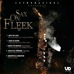 Cover of Sax on Fleek