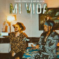 Cover of Mi Vida