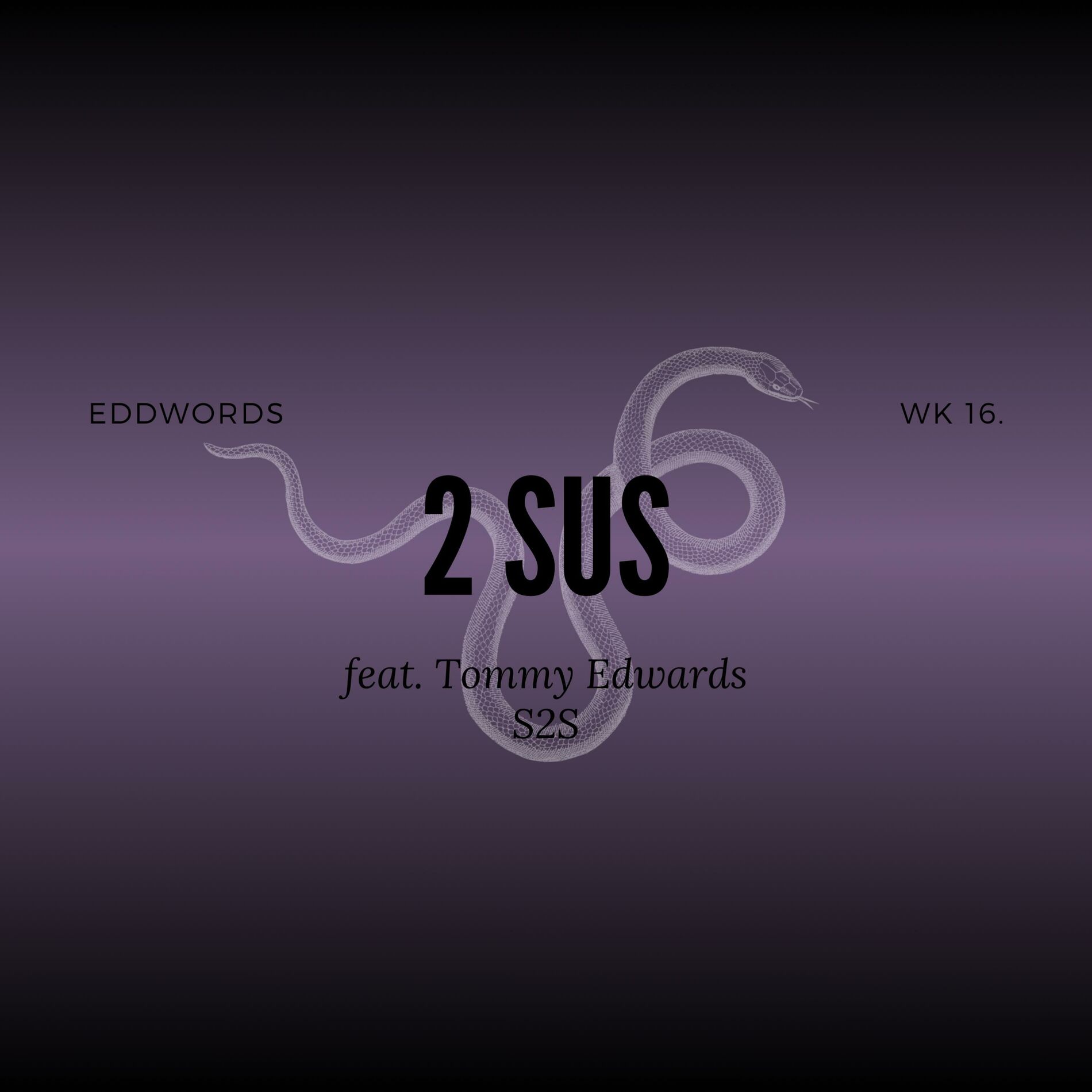 Album cover of 2 SUS (feat. Tommy Edwards)