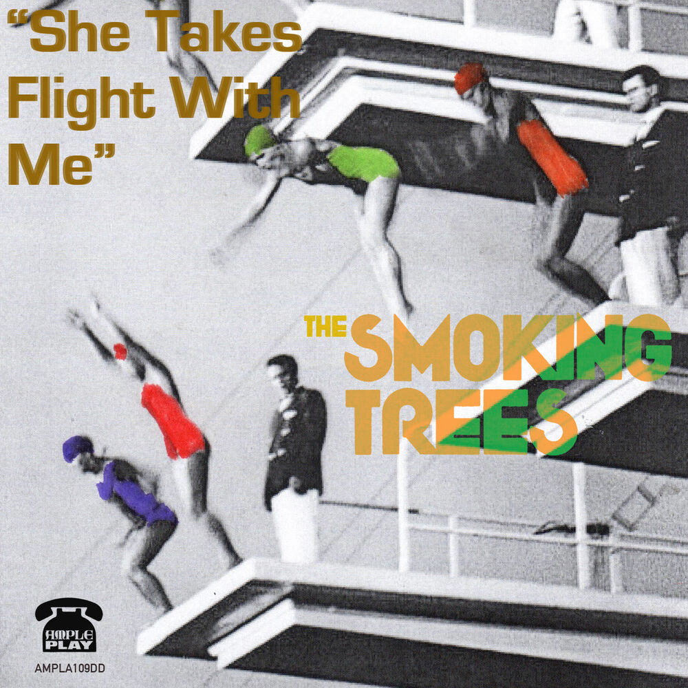 Picture of She Takes Flight with Me - Single