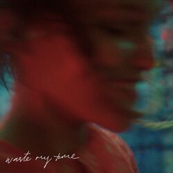 Cover of Waste My Time