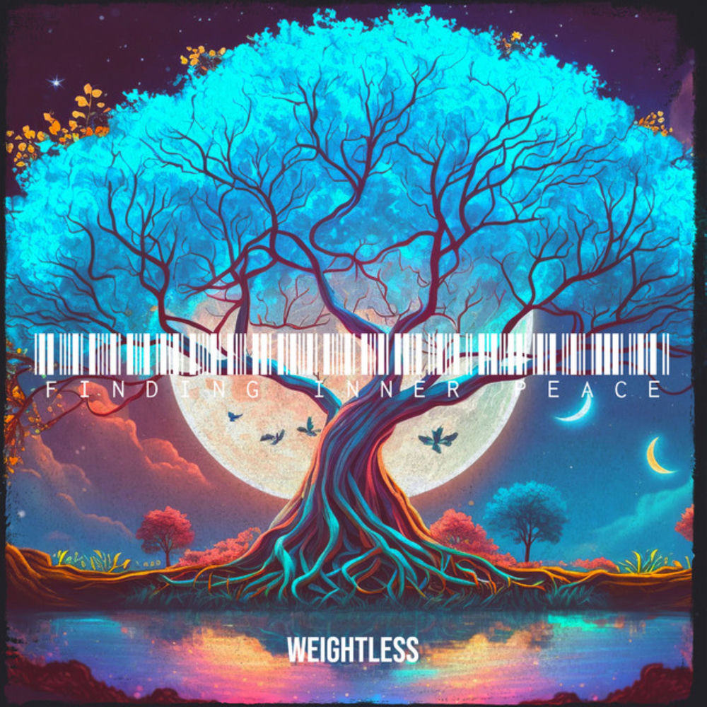 Album artwork for Solitude (no melody) by Weightless