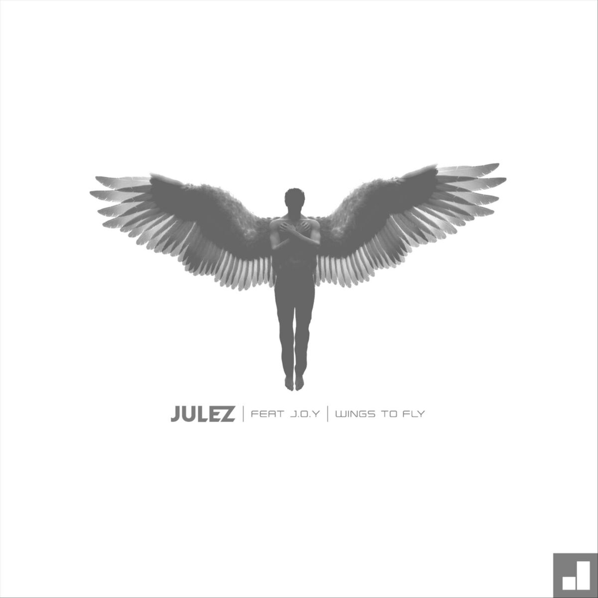Album cover of Wings to Fly