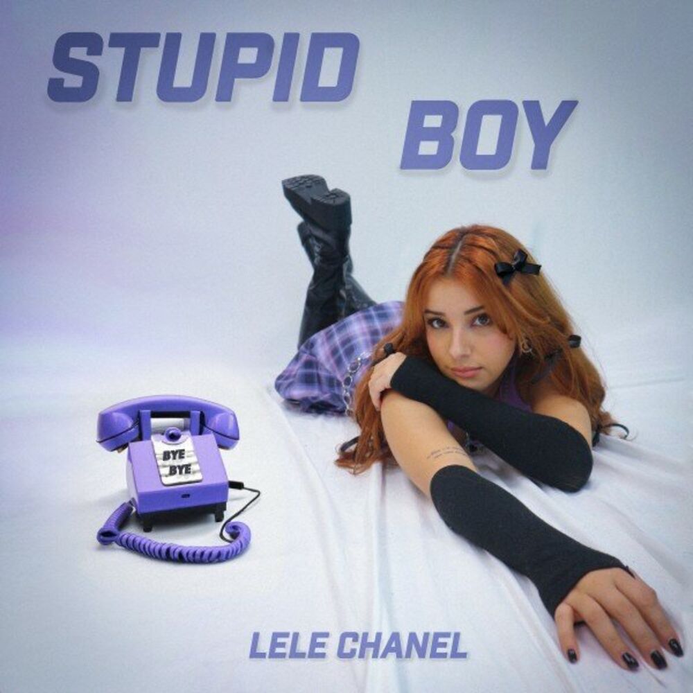 Picture of Stupid Boy