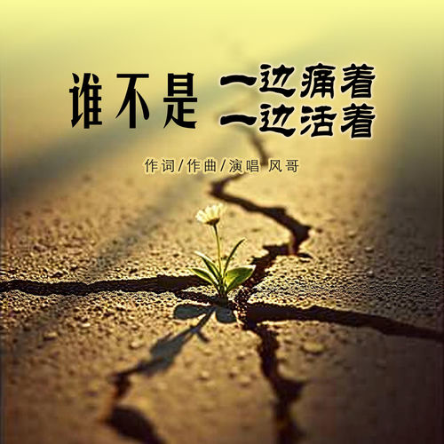 谁不是一边痛着一边活着