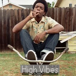 Cover of High Vibes