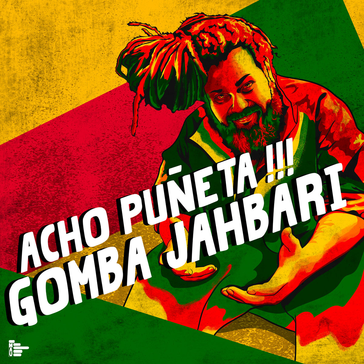 Album cover of Acho Puñeta