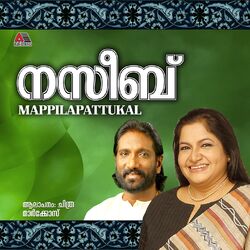 Cover of Nazeeb