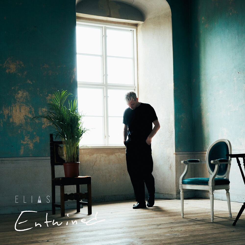 Picture of Entwined