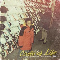 Cover of Circle of Life