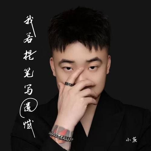 我若提笔写遗憾（倾情演绎版）