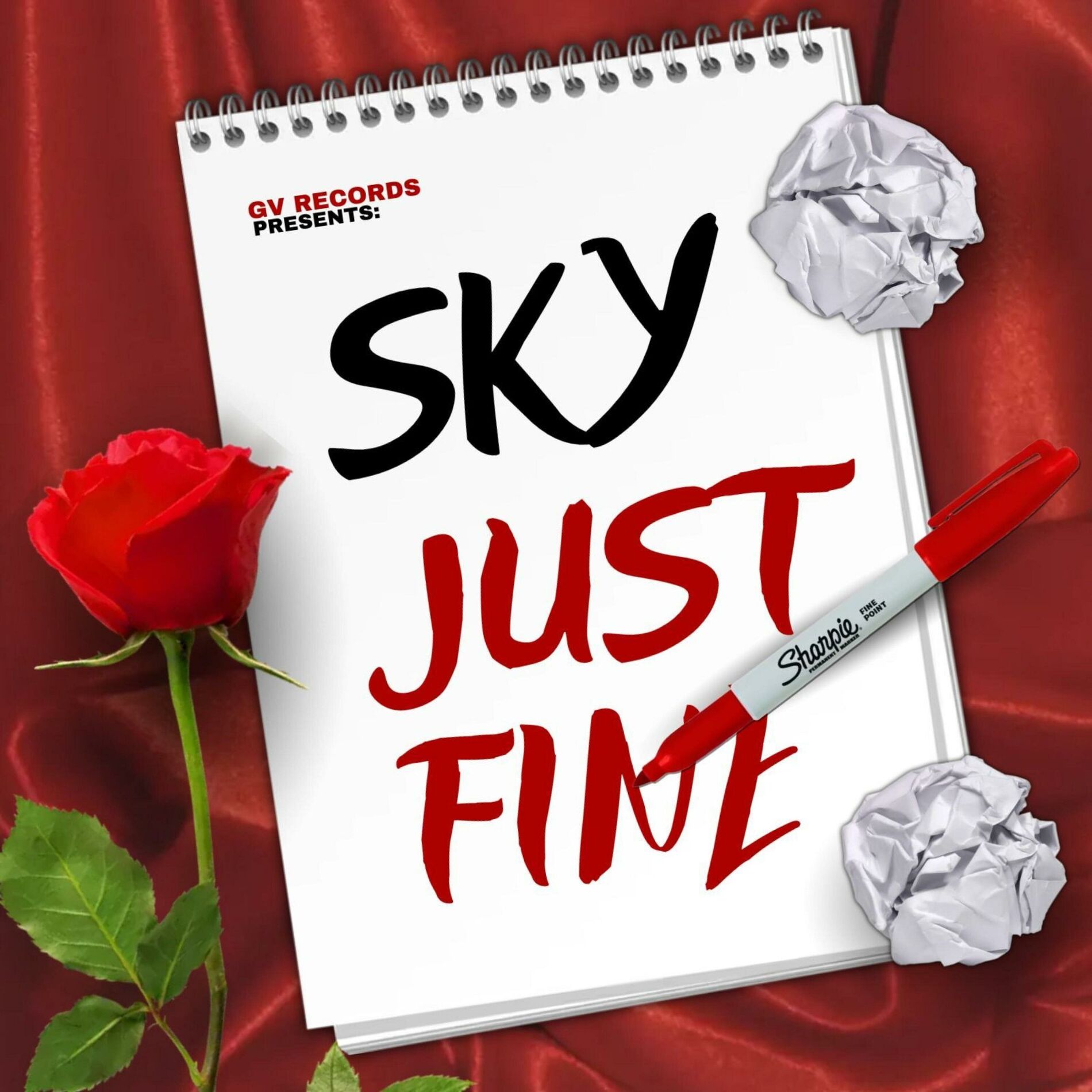 Album cover of Just Fine (feat. Skyy)
