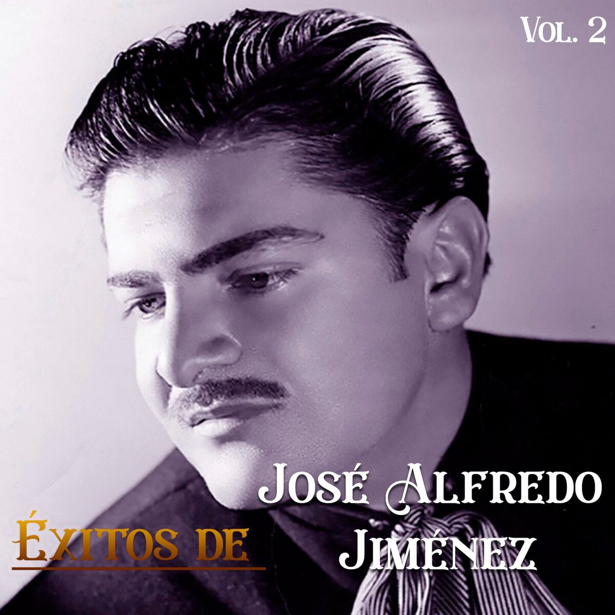 Album cover of Éxitos de José Alfredo Jiménez, Vol. 2