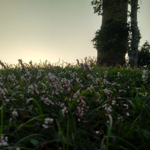 你的她