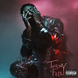 Cover of Touchy Feely
