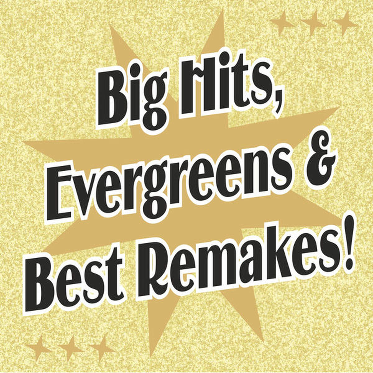 Album cover of Big Hits, Evergreens & Best Remakes!