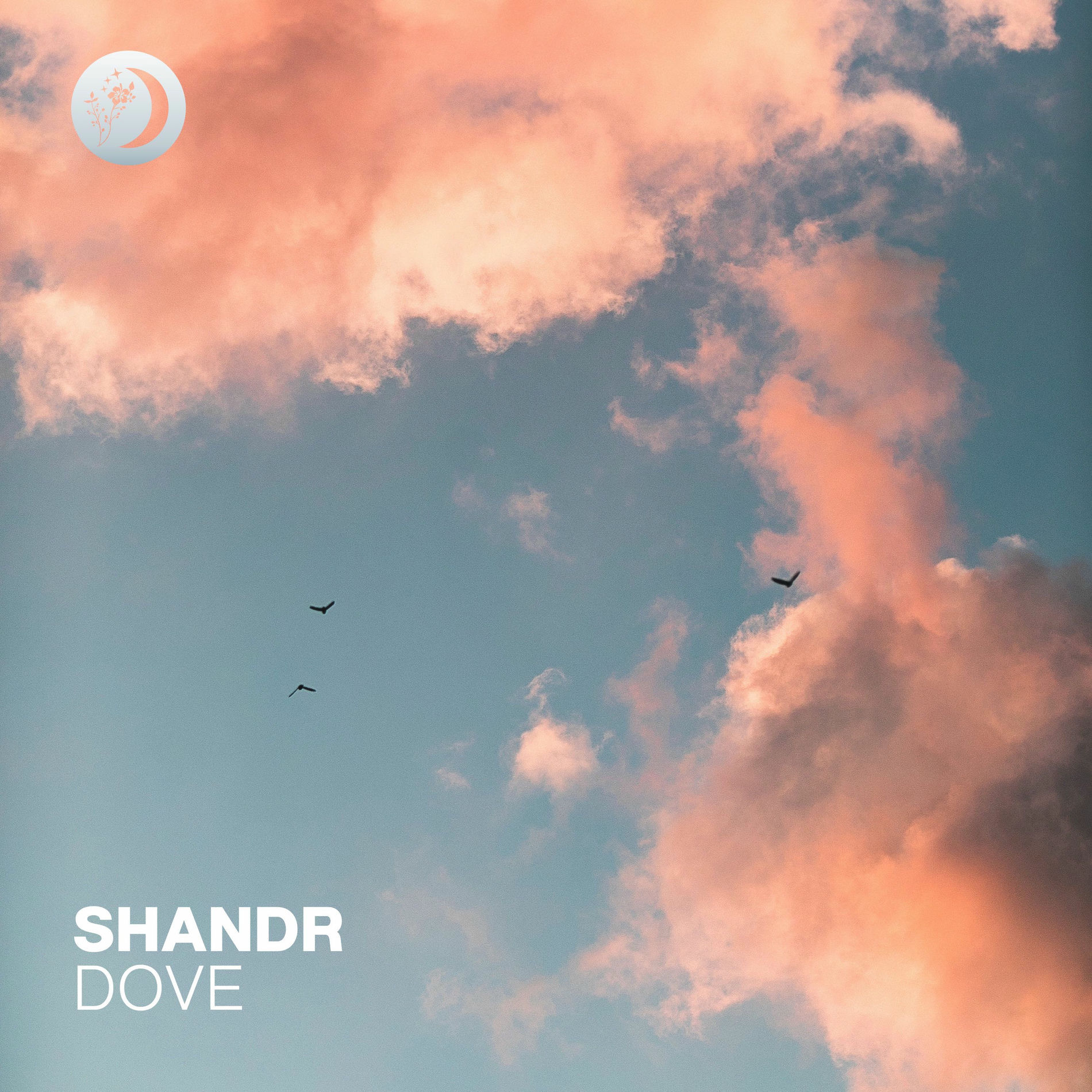 Album cover of Dove