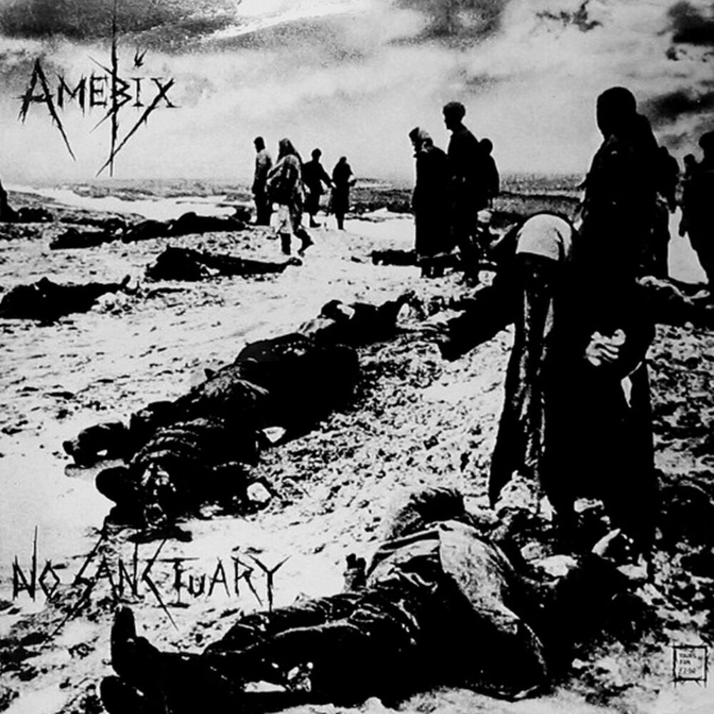 Picture of No Sanctuary - The Spiderleg Recordings