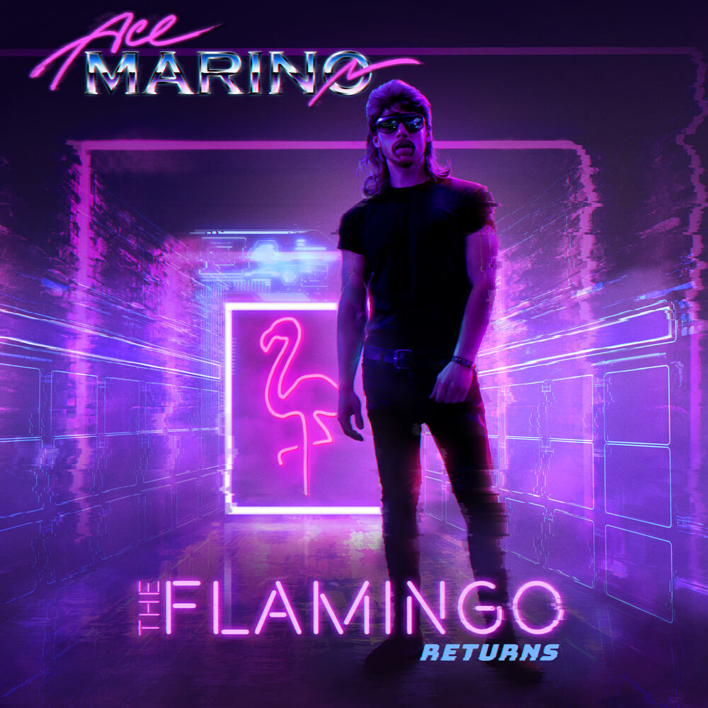 Picture of The Flamingo Returns