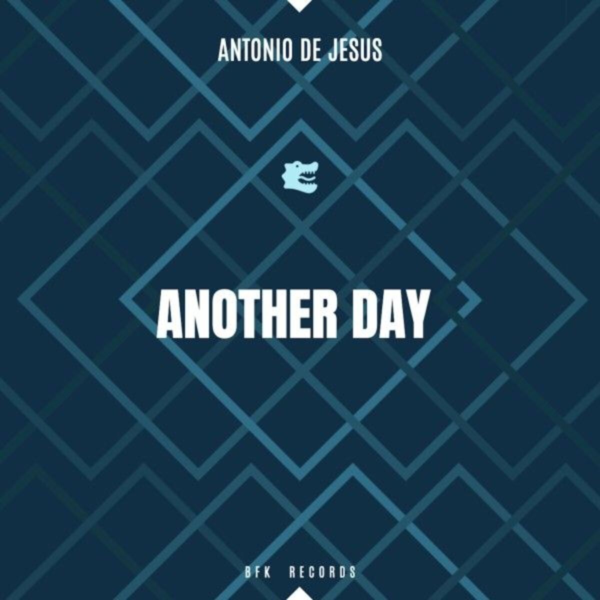 Album cover of Another Day